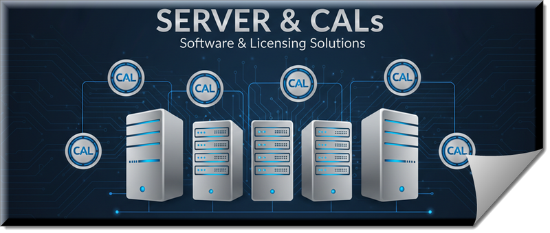 Server & CALs