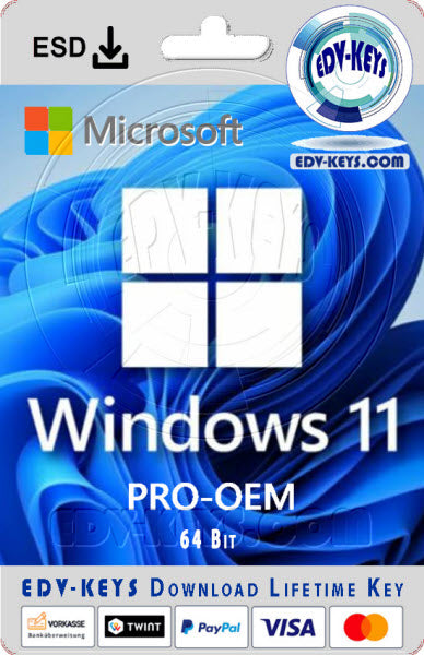 Windows 11 PRO OEM